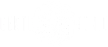 GT logo latest - 345 x 150